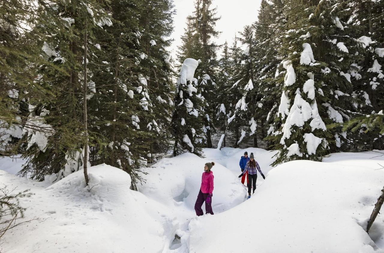 Soleil Chalet By Bear Country Sun Peaks Bagian luar foto