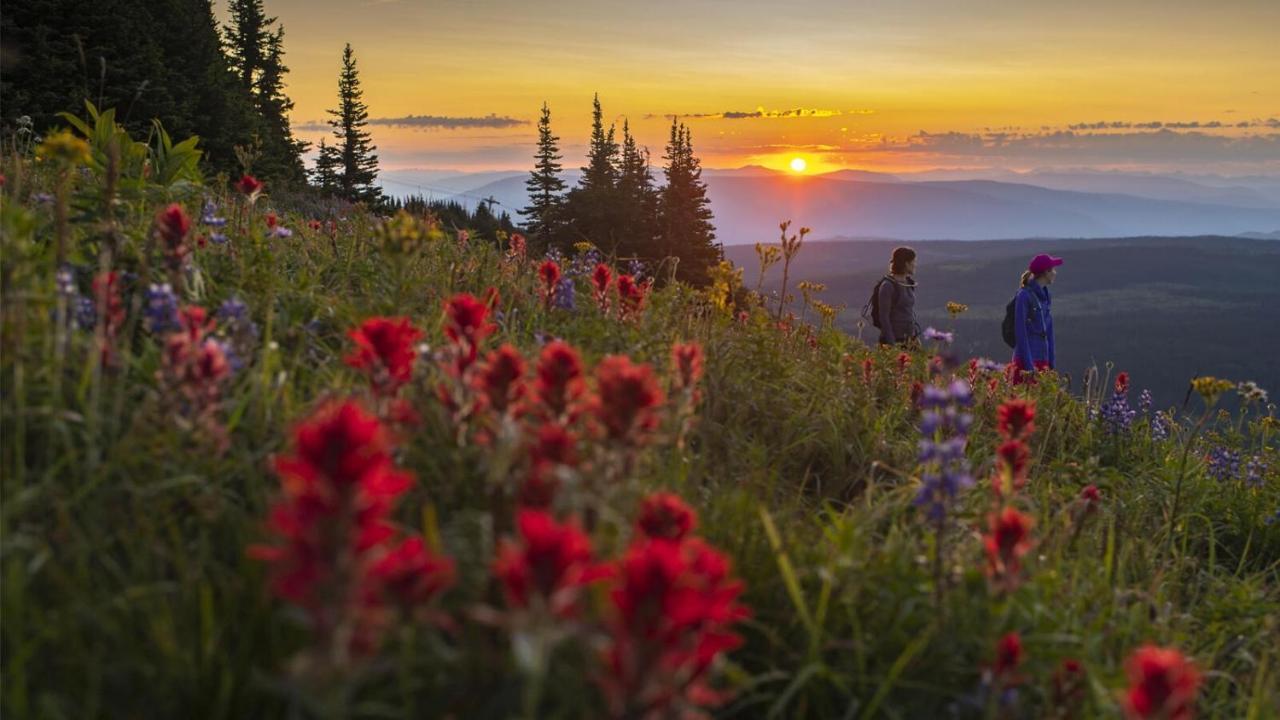 Soleil Chalet By Bear Country Sun Peaks Bagian luar foto
